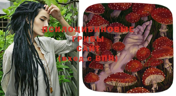 apvp Беломорск