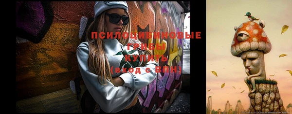 apvp Беломорск
